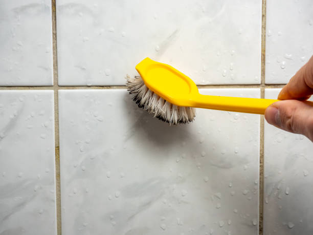 Certified Mold Removal in Graceville, FL